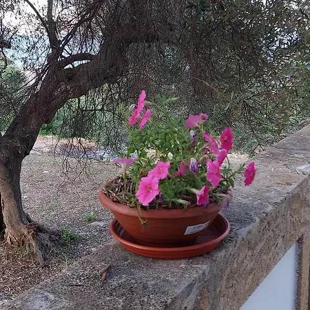Un Angolo Di Paradiso * מרינה סרה